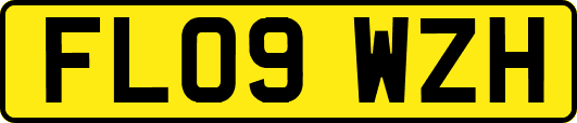 FL09WZH