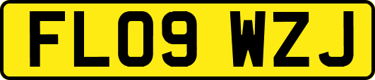 FL09WZJ