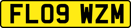 FL09WZM