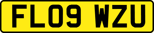 FL09WZU