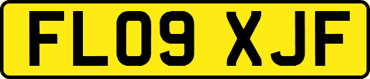 FL09XJF