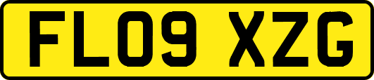 FL09XZG