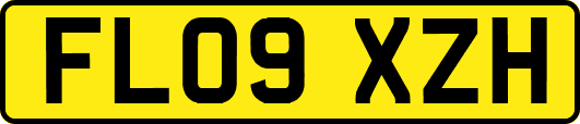 FL09XZH