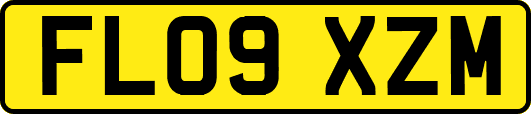 FL09XZM