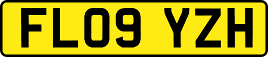 FL09YZH