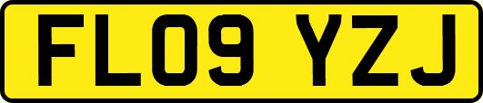 FL09YZJ