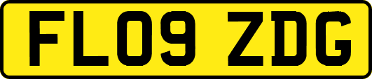 FL09ZDG
