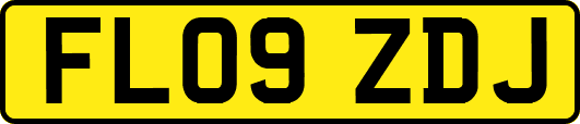 FL09ZDJ