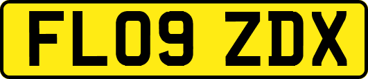 FL09ZDX