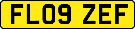 FL09ZEF