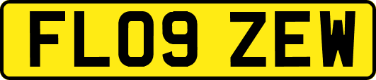 FL09ZEW
