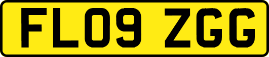 FL09ZGG