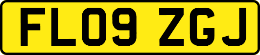 FL09ZGJ