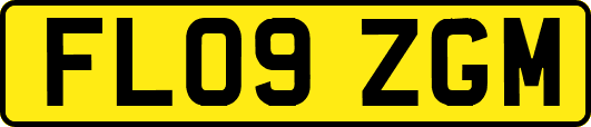 FL09ZGM