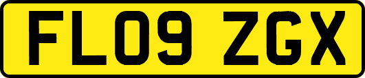 FL09ZGX