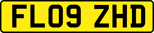 FL09ZHD