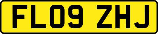 FL09ZHJ