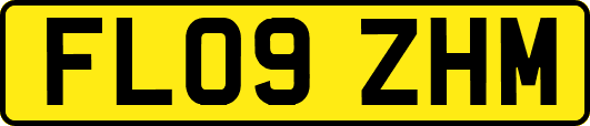 FL09ZHM
