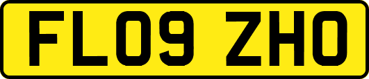 FL09ZHO