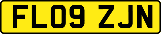 FL09ZJN
