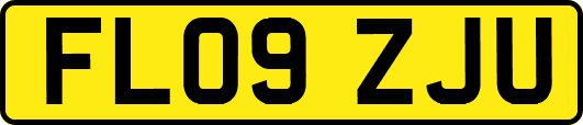 FL09ZJU
