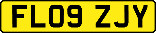 FL09ZJY