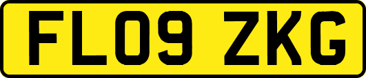 FL09ZKG