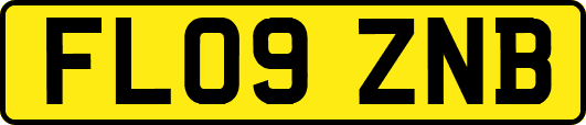 FL09ZNB