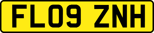 FL09ZNH