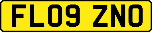 FL09ZNO