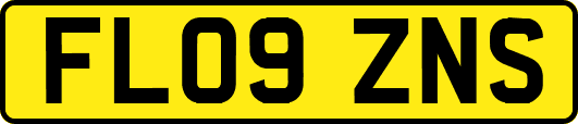 FL09ZNS