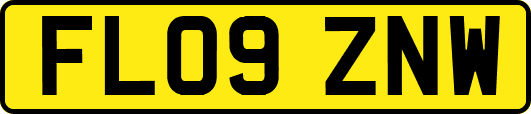 FL09ZNW