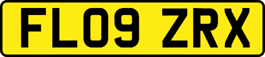 FL09ZRX