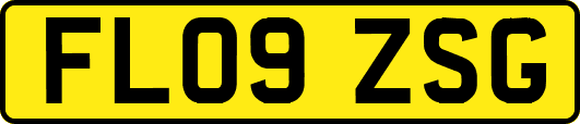 FL09ZSG