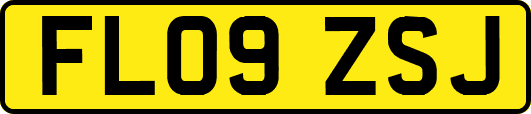 FL09ZSJ