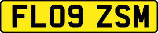FL09ZSM