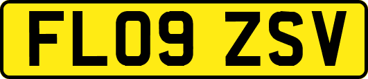 FL09ZSV