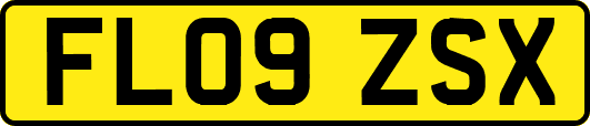 FL09ZSX
