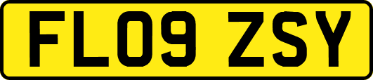 FL09ZSY