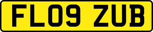 FL09ZUB