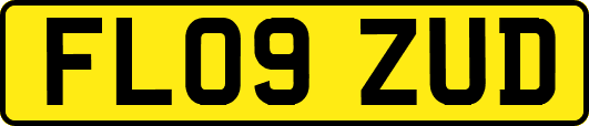 FL09ZUD