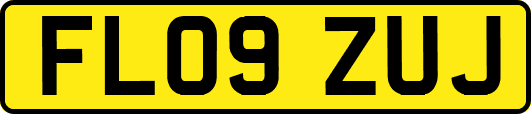 FL09ZUJ