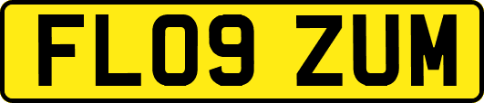FL09ZUM