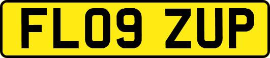 FL09ZUP