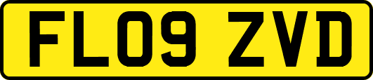 FL09ZVD