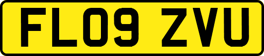 FL09ZVU