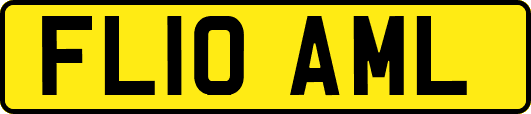FL10AML