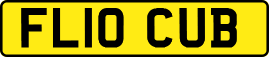 FL10CUB