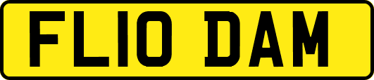 FL10DAM