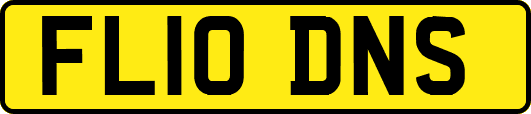 FL10DNS